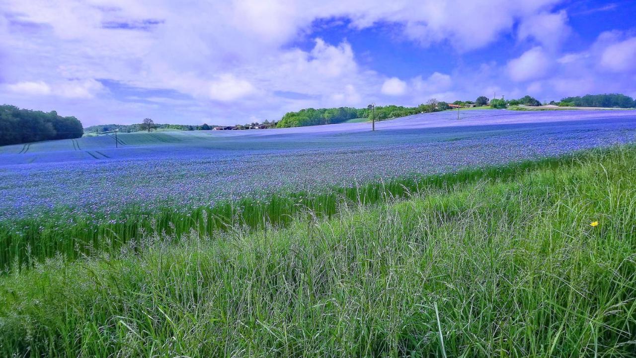 Auberge Casa Sana Pillac ภายนอก รูปภาพ